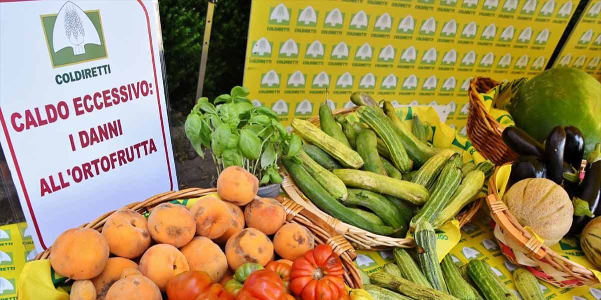L'ondata di calore sta ustionando frutta e verdura